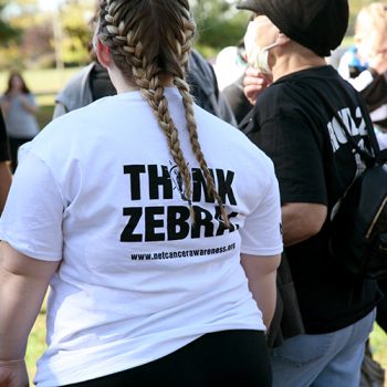 2017_zebra_walk_pict27