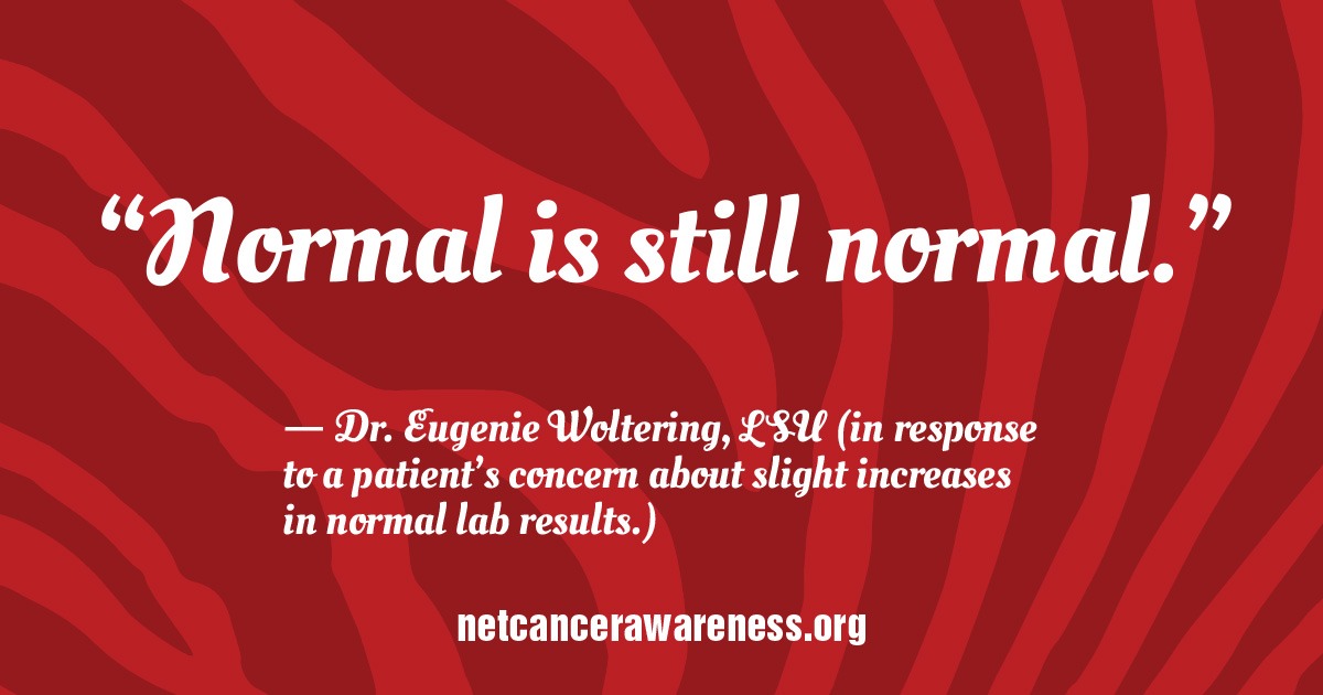 Inspiration Corner 337